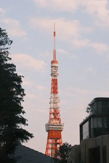 Tokyo Tower in evening light, framed by trees and a dark building.